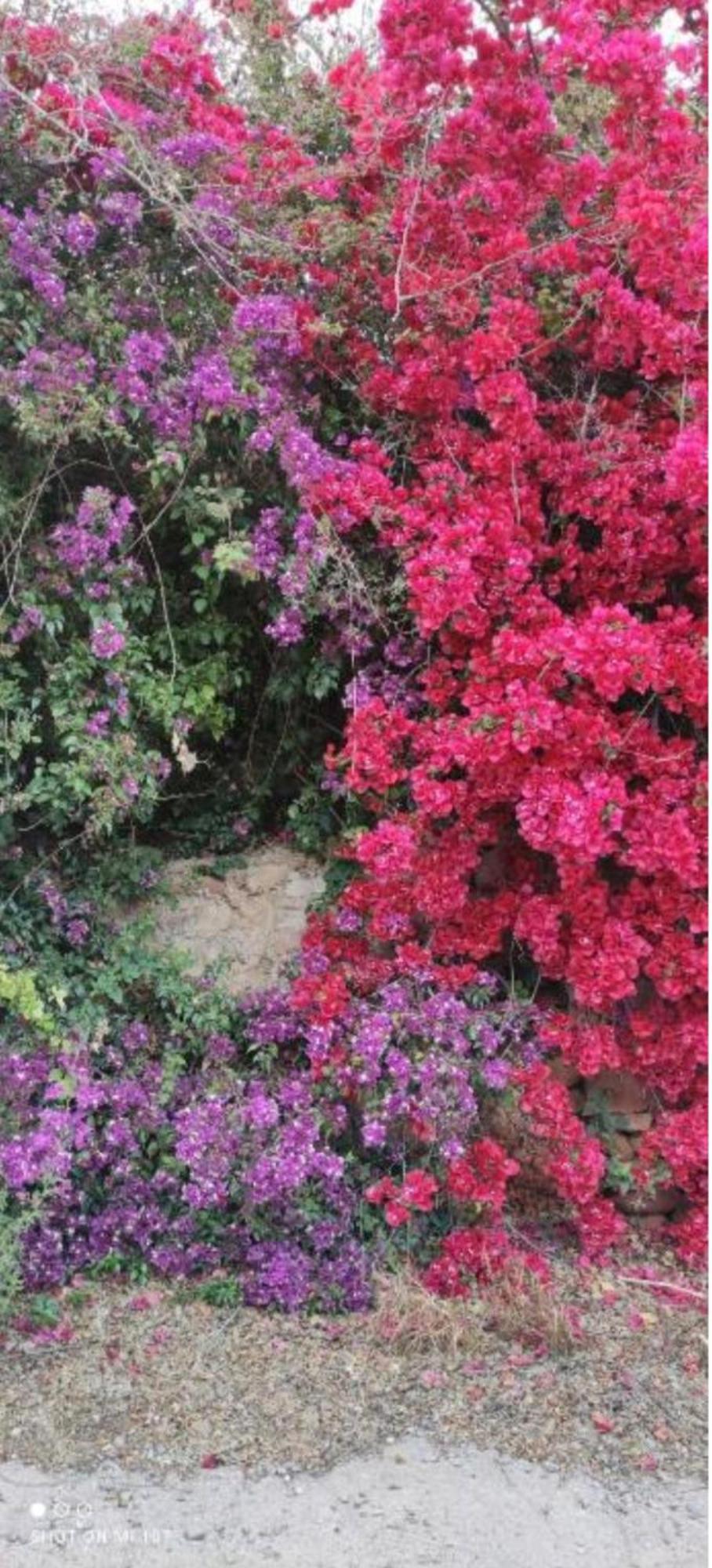 Vacances A La Plage Sagunto Dış mekan fotoğraf